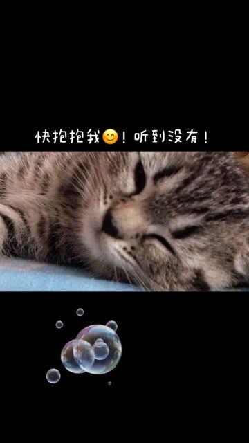 你快抱抱他,传递温暖与爱的温馨瞬间