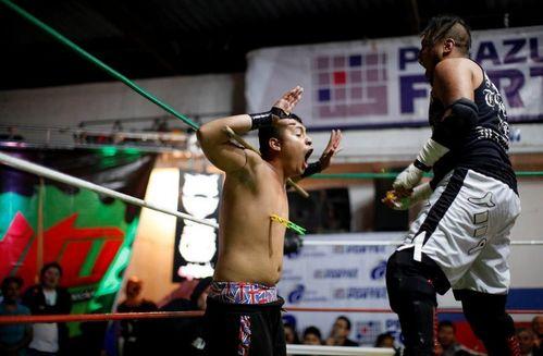 摔跤手,一场力量与智慧的较量